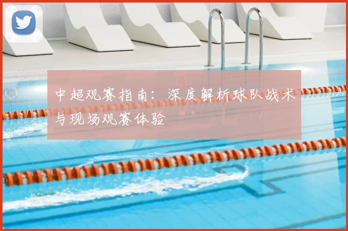 中超观赛指南：深度解析球队战术与现场观赛体验